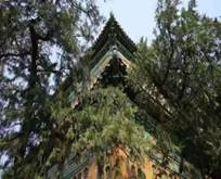 风景5